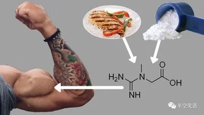 Creatine monohydrate