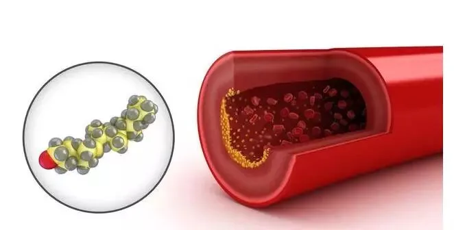 Yeast β - glucan     anticoagulation