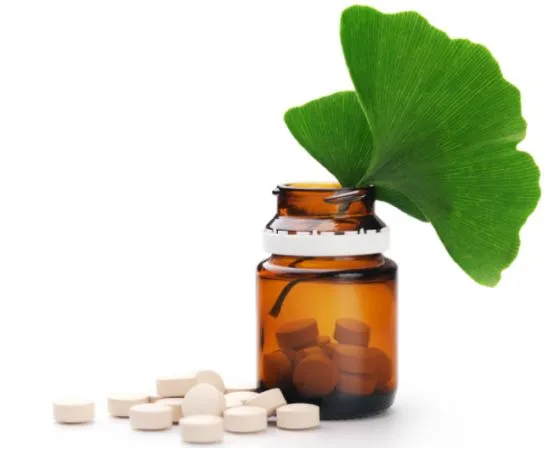 news Ginkgo biloba L  Ginkgo biloba extract