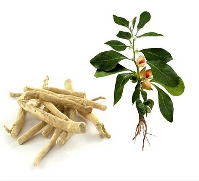 Ashwagandha Root Extract Powder