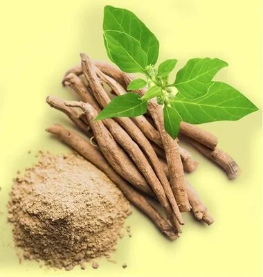 Ashwagandha Root Extract Powder