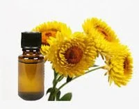 Pure Helichrysum Oil