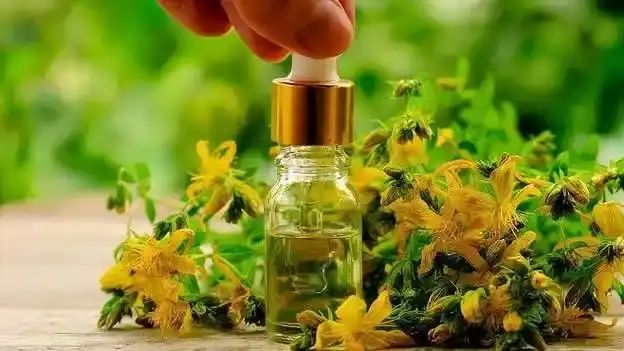 Pure Helichrysum Oil