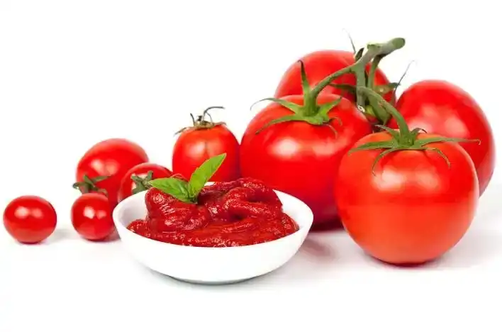 lycopene oil