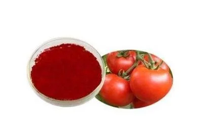 lycopene oil