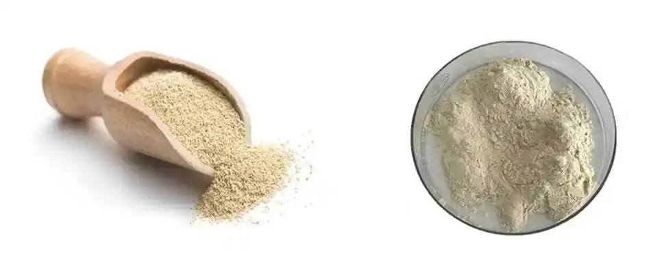 yeast's beta glucans powder