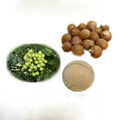 Soapnut Extract