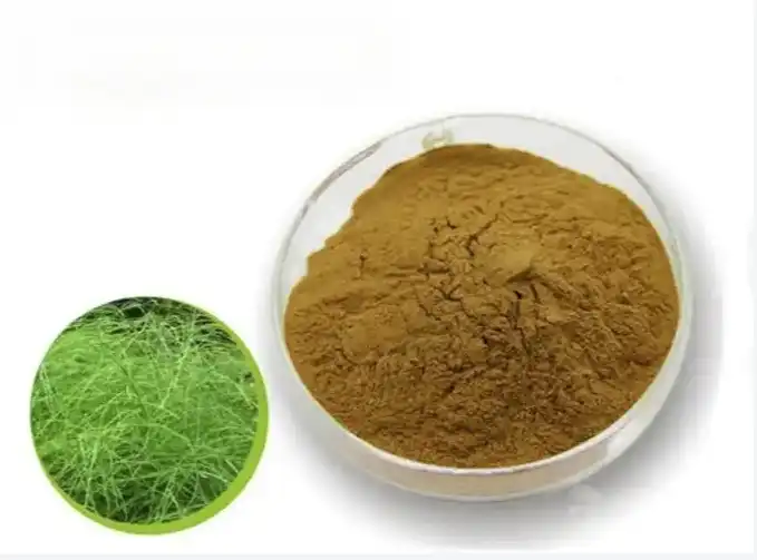 Equisetum arvense leaf extract