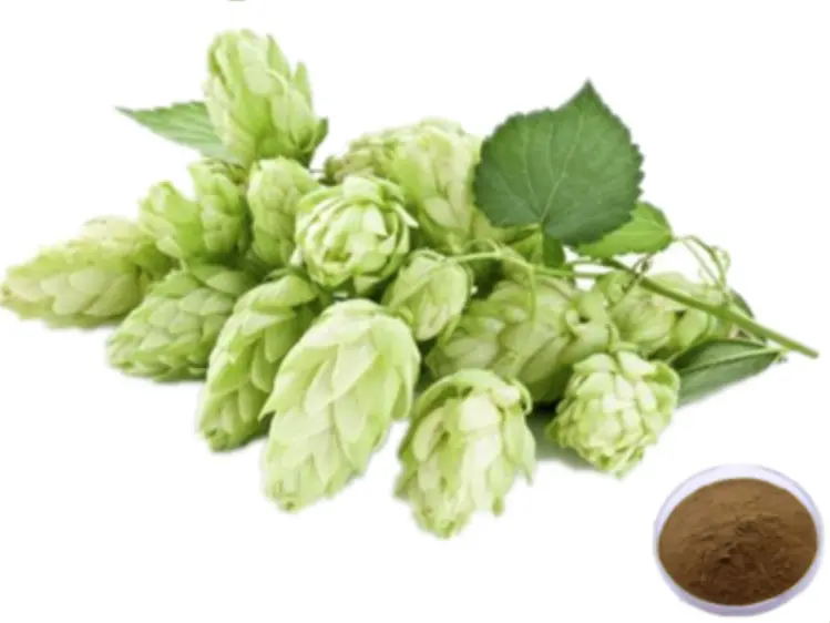 How to make hop extract?