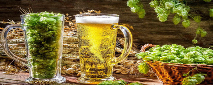 How to use hops extract with hard cider?