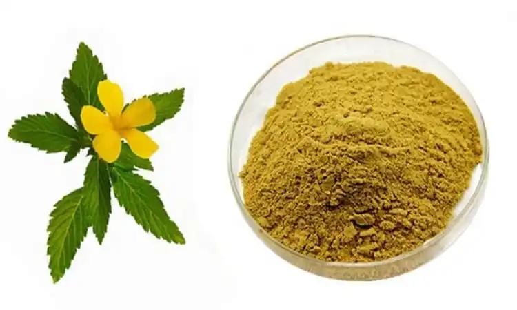 Damiana Extract Powder Dosage, Safety, and Best Practices