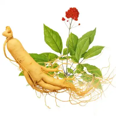 Can I take ashwagandha root before bed?