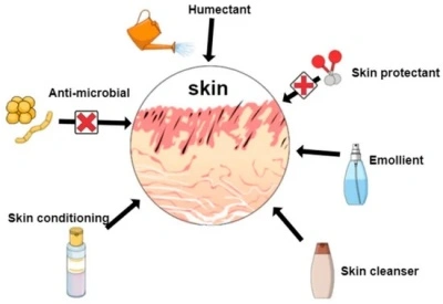 What Are the Benefits of Taking Chitosan?