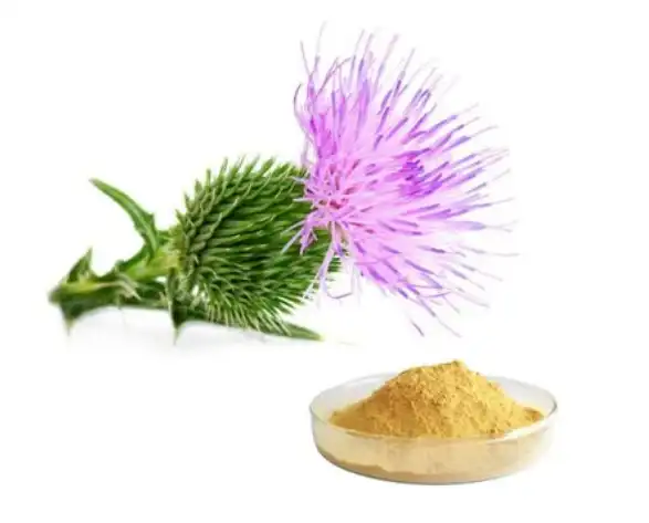 Milk Thistle: Natural Remedy for Liver Support