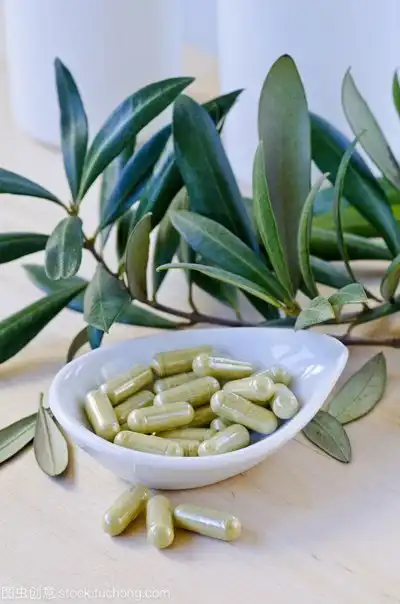 Olive Leaf Extract: Uses and Side Effects