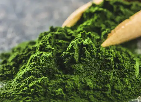 Chlorophyll Powder: Uses, Benefits, and Side Effects