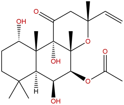 What are the Differences Between Forskolin Powder and Forskolin Extract?