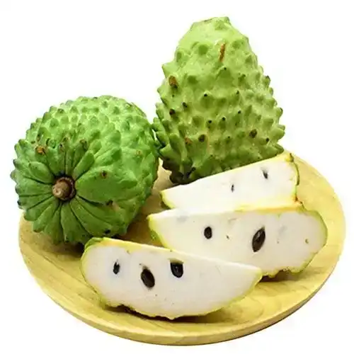 What are the Health Benefits of Soursop Leaf Extract Powder?