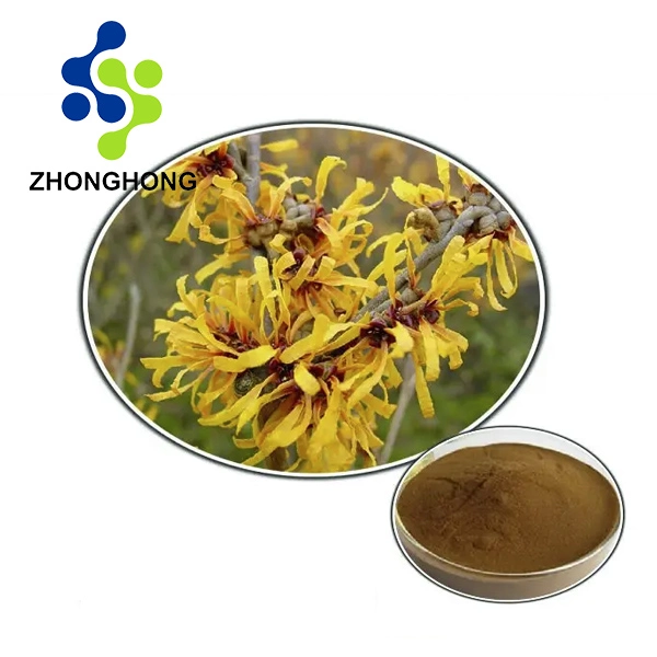 How to extract witch hazel?