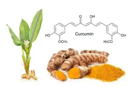 What is tetrahydrocurcumin?