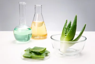 How to use aloe vera and precautions Aloe vera, the efficacy and function of aloe vera_Chinese medicine aloe vera_What is aloe vera_How to use and how much to use aloe vera