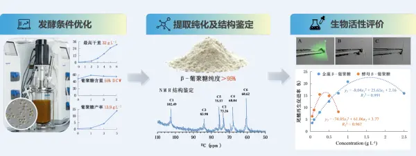 The Institute of Aquatic Sciences has made progress in the development of algae-derived β-1,3-glucan