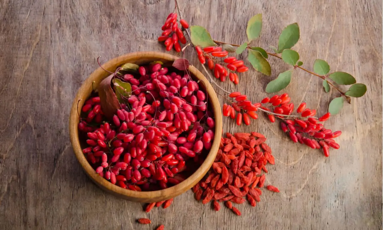 Nutrients, benefits, and side effects of goji berries