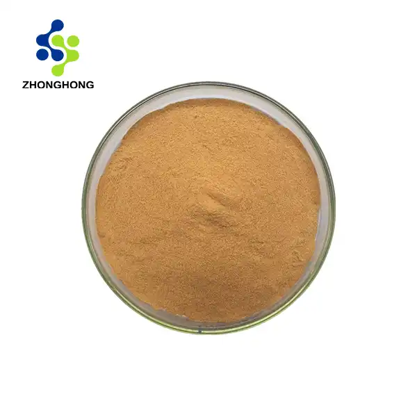 Bacopa Monnieri Extract Powder